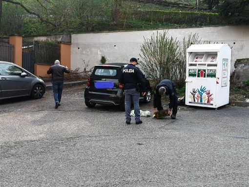 forze dell'ordine con una valigia abbandonata forze dell'ordine con una valigia abbandonata