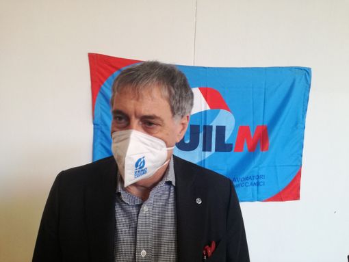 rocco palombella