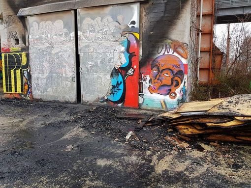 Rogo al Parco Dora, &quot;Più controllo e maggior manutenzione&quot;