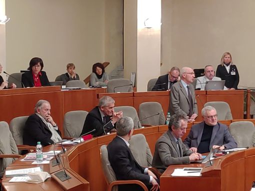 Parco della Salute, Chiamparino: &quot;I posti letto pediatrici non saranno ridotti, ma ridistribuiti tra gli altri ospedali&quot;