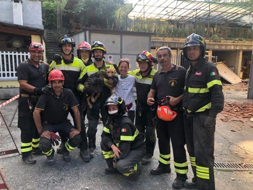 cane salvato dai pompieri cane salvato dai pompieri