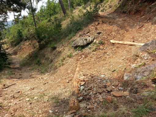 &quot;Lasciateci camminare in montagna&quot;, Uncem sia allinea alla petizione per l'attività all'aria aperta