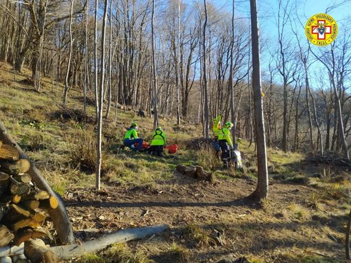 foto d'archivio foto d'archivio