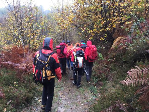 Cercatore di funghi si frattura la caviglia: recuperato dal Soccorso Alpino in Val Sangone Cercatore di funghi si frattura la caviglia: recuperato dal Soccorso Alpino in Val Sangone