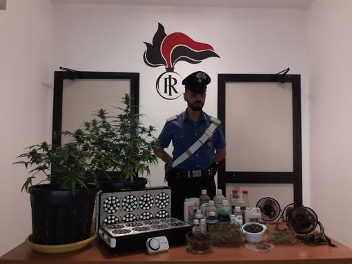 Castiglione Torinese, nella &quot;stanza segreta&quot; c'era la serra per la marijuana: arrestato 49enne [VIDEO]