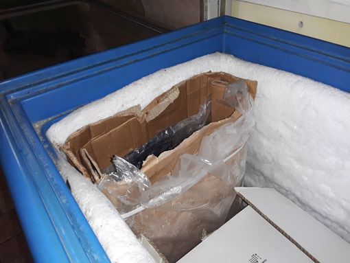 cibo mal conservato - foto di repertorio