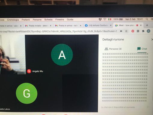 Svastiche durante la conferenza online dell'Istituto Confucio Svastiche durante la conferenza online dell'Istituto Confucio