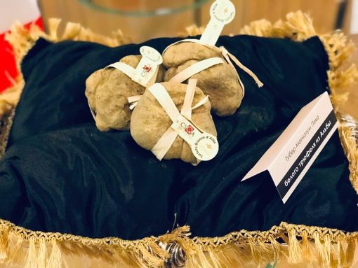 Castello di Grinzane Cavour: presentata a Mosca la XX edizione dell'asta mondiale del tartufo bianco Castello di Grinzane Cavour: presentata a Mosca la XX edizione dell'asta mondiale del tartufo bianco