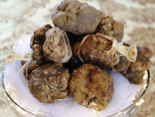 Fiera internazionale del tartufo bianco d'Alba: un'ottima annata