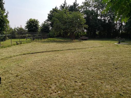 Moncalieri, si avvia a rinascere l'area del campo sportivo di Tetti Piatti (FOTO) Moncalieri, si avvia a rinascere l'area del campo sportivo di Tetti Piatti (FOTO)