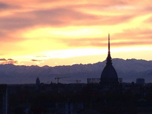 Torino unica italiana fra le città del mondo con più alberi