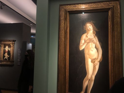 Sandro Botticelli, la storia della Venere torinese “meno conosciuta” a Palazzo Reale
