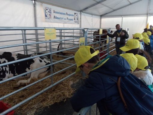 La richesta di Coldiretti Piemonte: &quot;Utilizzare le risorse residue mettendo al centro le imprese agricole&quot;