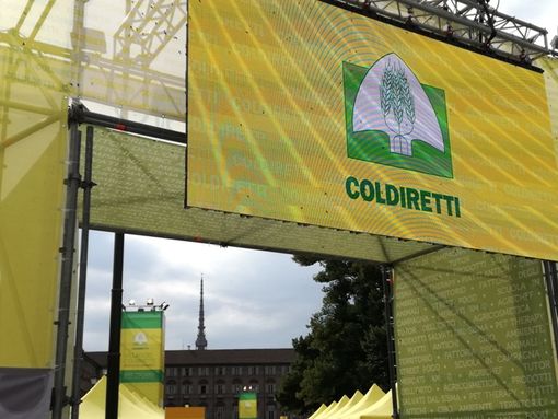 Coldiretti: ''Urgente approvare legge per proteggere territorio piemontese&quot;​