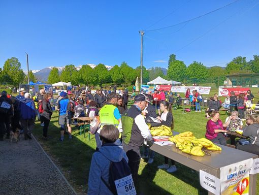 La Lions Walk supera i 10 mila euro di donazioni e avvicina i mille partecipanti