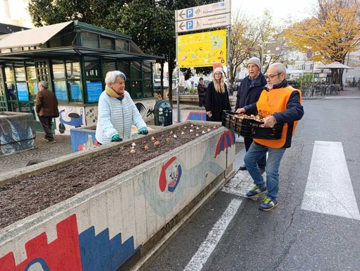 Messer Tulipano nel centro di Torino