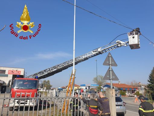 Vigili del fuoco palo pericolante Vigili del fuoco palo pericolante