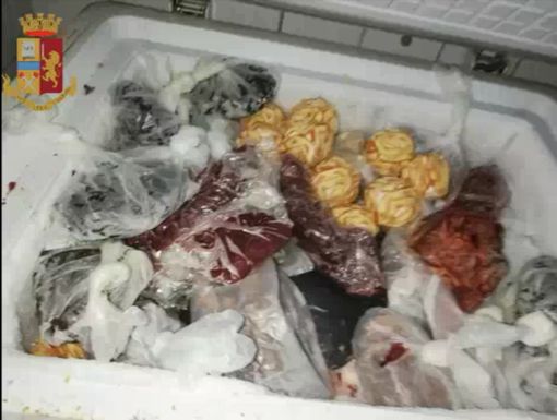 Cibo mal conservato, condizioni igieniche pessime e altre violazioni: 44mila euro di sanzioni per 4 locali di San Salvario