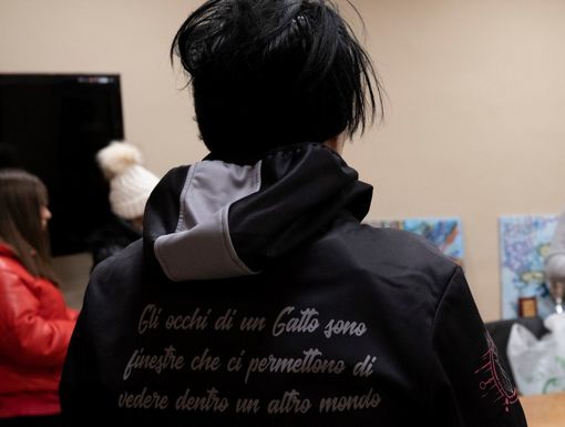 gattare di nichelino