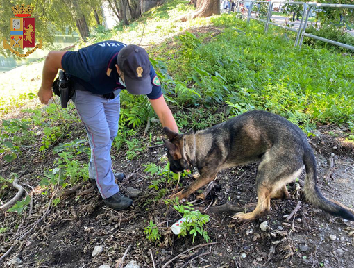 Controlli nel quartiere Aurora, due arresti e una denuncia
