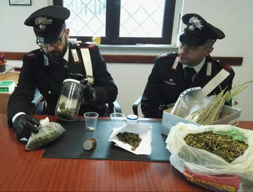 Scoperto a Rueglio un laboratorio domestico per la coltivazione della marijuana