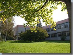 Blitz antidroga all'Ubertini di Chivasso Blitz antidroga all'Ubertini di Chivasso