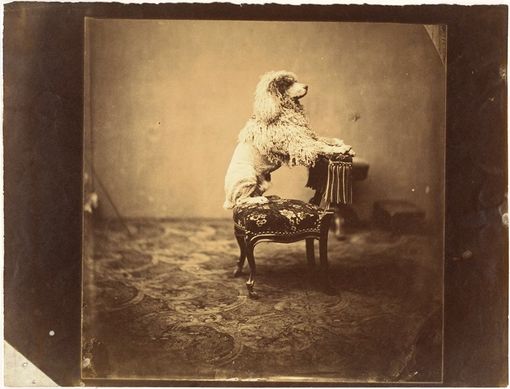 Torino, lezione di Storia della Fotografia con il direttore di Camera