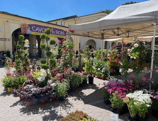 (Foto di repertorio) (Foto di repertorio)