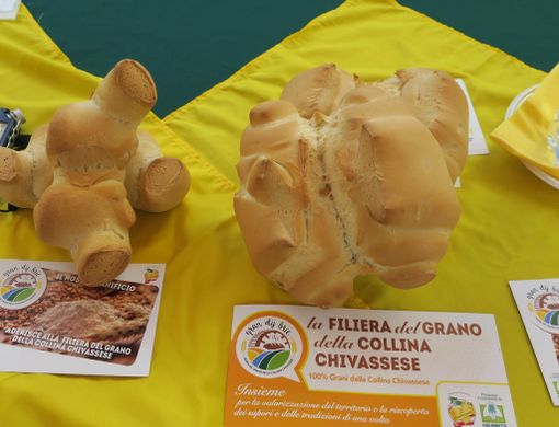 Coldiretti valorizza il grano della tradizione: due nuove filiere a Chivasso e Stupinigi