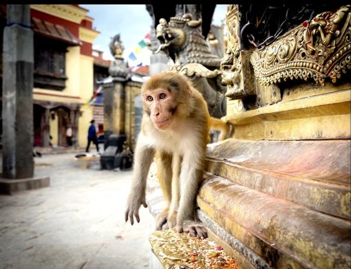 Uno degli scatti nepalesi di Christian Bosio