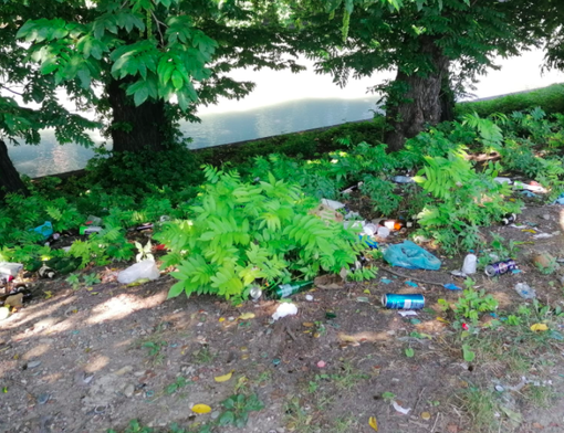 Aurora, dopo la lettera di residenti e commercianti sul degrado in Lungo Dora Napoli si muove anche la Circoscrizione 7 Aurora, dopo la lettera di residenti e commercianti sul degrado in Lungo Dora Napoli si muove anche la Circoscrizione 7