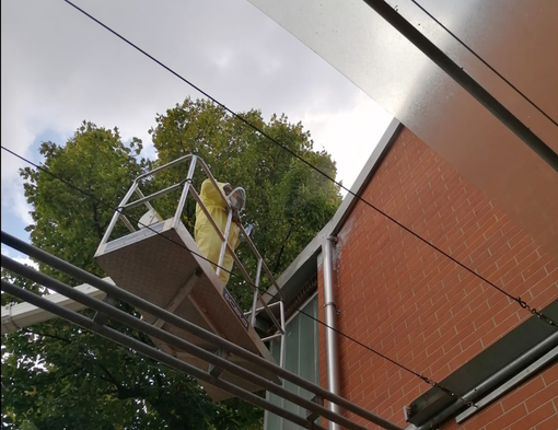 Bonificato il centro sportivo di via Lanzo da un nido di calabroni