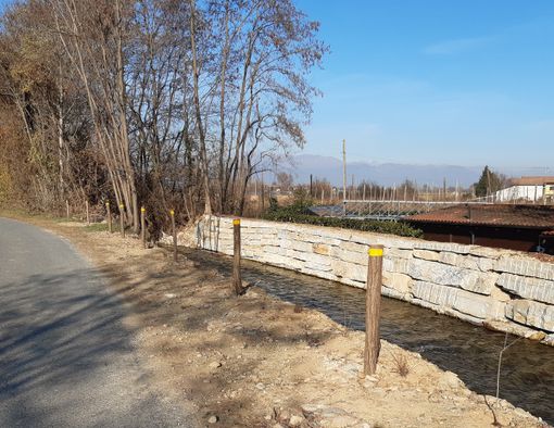 Più siepi a Cavour per conservare paesaggio e biodiversità naturale