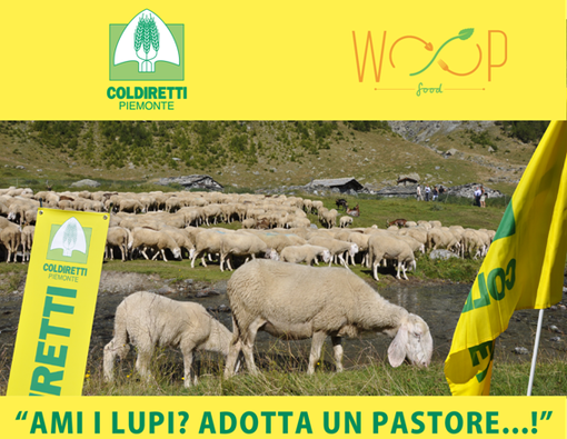 “Ami i lupi? Adotta un pastore…!”: lunedì Coldiretti lancia la campagna