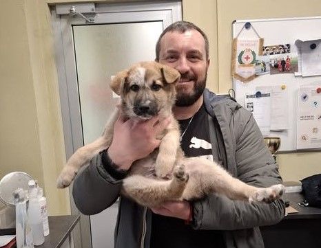 Babbo, il meraviglioso cucciolo abbandonato a Nichelino tra i rifiuti in via Trento Babbo, il meraviglioso cucciolo abbandonato a Nichelino tra i rifiuti in via Trento