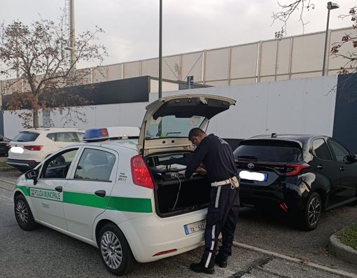 vigili urbani vigili urbani