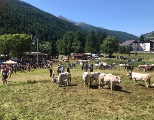 Pragelato è pronta per eleggere le nuove ‘Miss Mucca’ e ‘Miss Manza’ Pragelato è pronta per eleggere le nuove ‘Miss Mucca’ e ‘Miss Manza’
