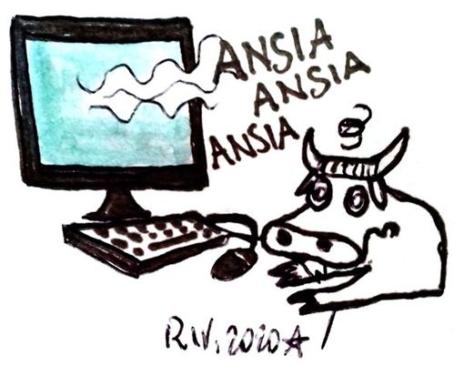 Attenti alla Bufala!!! Non è una mozzarella Attenti alla Bufala!!! Non è una mozzarella