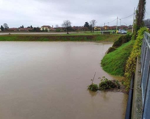 Maltempo, Coldiretti Piemonte: "Fine settimana disastroso, terreni allagati e vigneti distrutti" Maltempo, Coldiretti Piemonte: "Fine settimana disastroso, terreni allagati e vigneti distrutti"