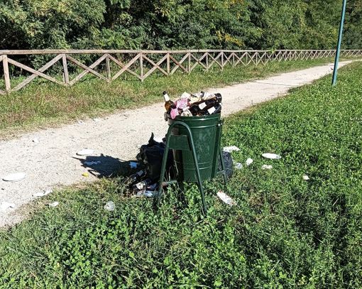 Parco Calabria, 13 anni di problemi: “Dal 2012 continuo abbandono di rifiuti”