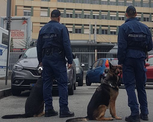 Stretta sui parcheggiatori abusivi: 141 presidi nel 2019 davanti al Giovanni Bosco
