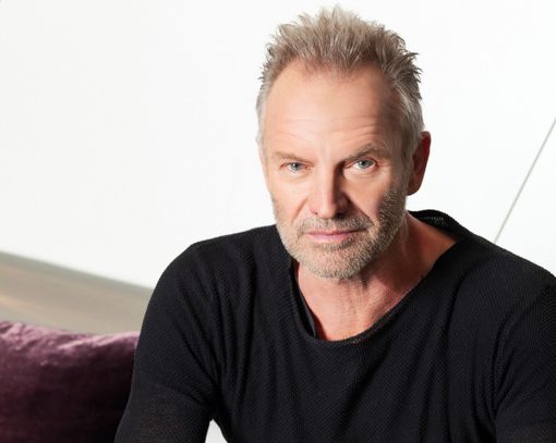 sting sting
