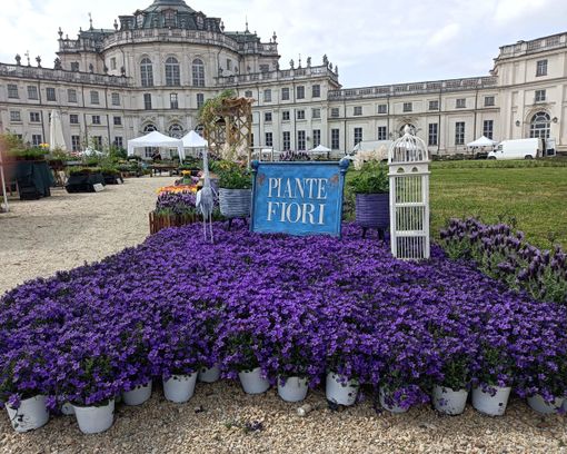 La Palazzina di Stupinigi diventa la 'residenza del green' con Anteprima Floreal