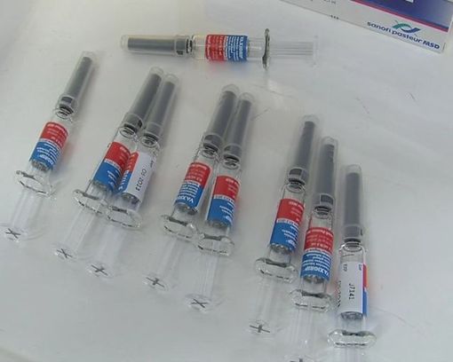 Vaccino antinfluenzale, oltre un milione di dosi in Piemonte. Icardi: "acquisto record per il 2020-21" Vaccino antinfluenzale, oltre un milione di dosi in Piemonte. Icardi: "acquisto record per il 2020-21"