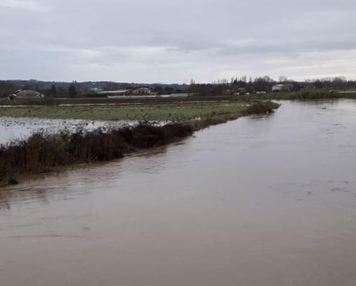 Moncalieri, il livello del Chisola è diminuito: passata la grande paura