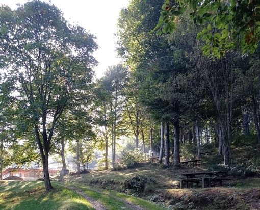 I Comuni della Val Pellice pronti a vendere i crediti di CO₂ per manutenere i boschi