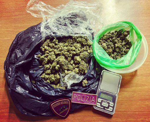 infiorescenze di marijuana