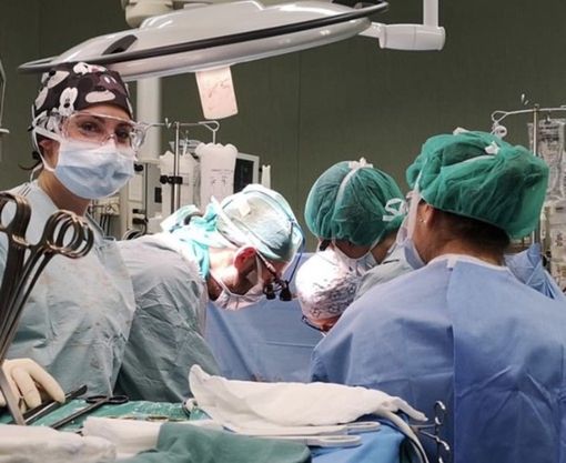 Bimbo morto per la puntura di un calabrone: il trapianto degli organi salva cinque vite Bimbo morto per la puntura di un calabrone: il trapianto degli organi salva cinque vite