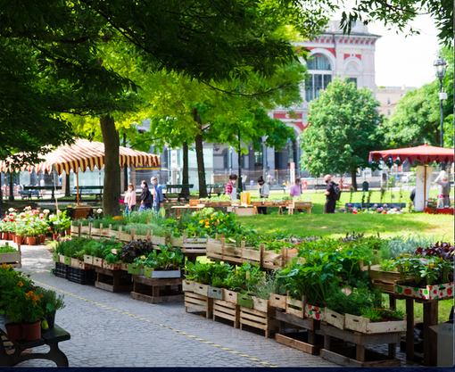 I Giardini Sambuy domenica tornano a essere "Spazio pubblico dal vivo" I Giardini Sambuy domenica tornano a essere "Spazio pubblico dal vivo"
