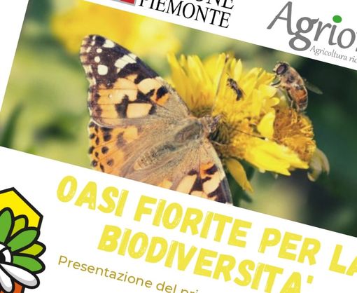 Invito Conferenza Stampa “Oasi fiorite per la biodiversità”